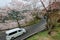 Cars traveling on a curvy mountain highway winding up the hill of sakura cherry blossom trees in Miyasumi Park, Okayama, Japan