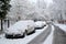 The cars which are filled up with snow stand on the street of Kaliningrad