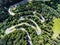 Cars on winding road trough the forest aerial view