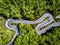 Cars on winding road trough the forest, Transfagarasan, Romania