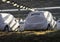 Cars wrapped in plastic ready to transport