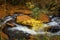 Carson Creek wanders through the autumn splendor in Pisgah Forest