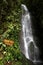 Carson Fall, Mount Kinabalu-Sept 01, 2014: The first waterfall on the summit trail of Mount Kinabalu, Sabah Malaysia.