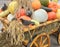 A cart with harvest pumpkin