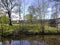 Cart horse resting against tree by the Leeds Liverpool Canal at Barnoldswick in Lancashire UK