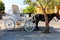 Cart horses at Aegina Island - Greece