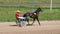 Cart jockey running on race track