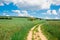 Cart road leading through colorful nature during spring