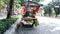 A cart selling vegetables stops