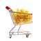 Cart or shopping trolley full of pasta and various noodles