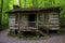 Carter Fold Cabin at Natural Tunnel State Park