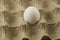 Carton of eggs under a close-up