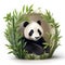 Cartoon 3d panda in bamboo jungle