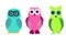 Cartoon abstract funny multicolored owls on white background