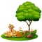 Cartoon adult cheetah with cub cheetah under a tree on a white background