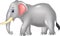 Cartoon African elephant isolated on white background