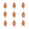 Cartoon almond set - cute brown nut with different emotions on face