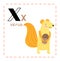 Cartoon Alphabet letter X for Xerus for education