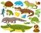 Cartoon amphibians and reptiles. Serpent, reptile and amphibians, frog, turtle, iguana and python vector illustration