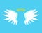 Cartoon Angel Wings on a Blue Background. Vector