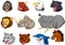 Cartoon angry animals head collection set