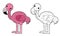 Cartoon animal bird flamingo - coloring page - illustration