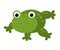 Cartoon animal frog toad on white background illustration