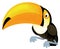 Cartoon animal happy tropical bird toucan isolated illustration for children