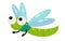 Cartoon animal insect dragonfly on white background illustration