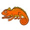 Cartoon animals for kids. Little cute orange chameleon.