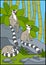 Cartoon animals for kids. Three little cute lemurs.