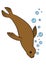 Cartoon animals. Little cute brown fur seal swims.