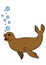 Cartoon animals. Little cute brown fur seal swims.