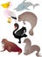 Cartoon animals vector