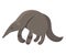 Cartoon anteater. Vector illustration of an anteater. Drawing animal for children. Zoo for kids.