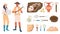 Cartoon archeology. Ancient artifacts and extinct animal fossils. Archaeologists and tools. Spatulas and compass