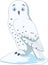 Cartoon arctic owl isolated on white background