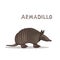 A cartoon armadillo, isolated on a white background. Animal alphabet.