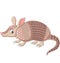 Cartoon armadillo on white background