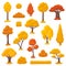 Cartoon autumn yellow trees. Bright tree, season forest elements. Fall gardening nature. Flat marple, birch and bush