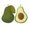 Cartoon avocados. Whole and cut avocado isolated on white background.