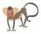 Cartoon baboon . Vector illustration of a baboon . Drawing animal for children. Zoo for kids.