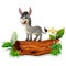 Cartoon baby donkey on tree trunk