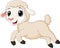 Cartoon baby lamb running on white background