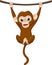 Cartoon baby monkey hanging on a wood branch