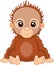 Cartoon baby orangutan sitting