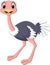 Cartoon baby ostrich isolated on white background