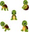Cartoon baby turtles collection set