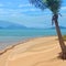 Cartoon background of tropical beach with palm tree on sandy shore