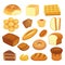 Cartoon bakery products. Toast bread, french roll and breakfast bagel. Whole grain breads, sweet bun and loaf vector